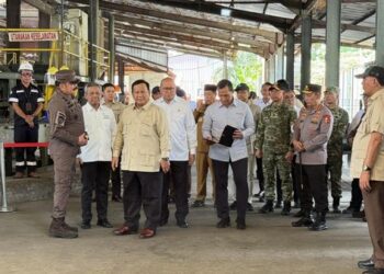 Prabowo Serahkan 6 Smelter Sitaan Korupsi Timah Rp300 Triliun ke PT Timah: Potensi Monasit Capai USD 800 Juta