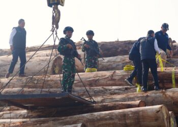 Satgas PKH Bongkar Pembalakan Liar Rp239 Miliar: Ribuan Kayu Ilegal dari Mentawai Diamankan di Gresik