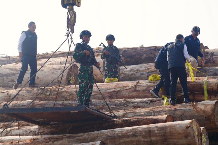 Satgas PKH Bongkar Pembalakan Liar Rp239 Miliar: Ribuan Kayu Ilegal dari Mentawai Diamankan di Gresik